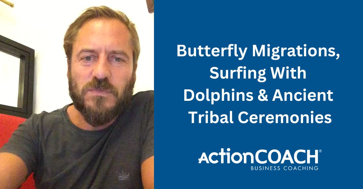 Butterfly Migrations Louis 50 Tasks You Can Outsource to a Virtual Assistant Today